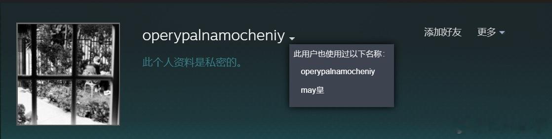 前两天VP中单squad1x把自己的ID改成了may皇！铁血小蚂蚁哈哈#dota