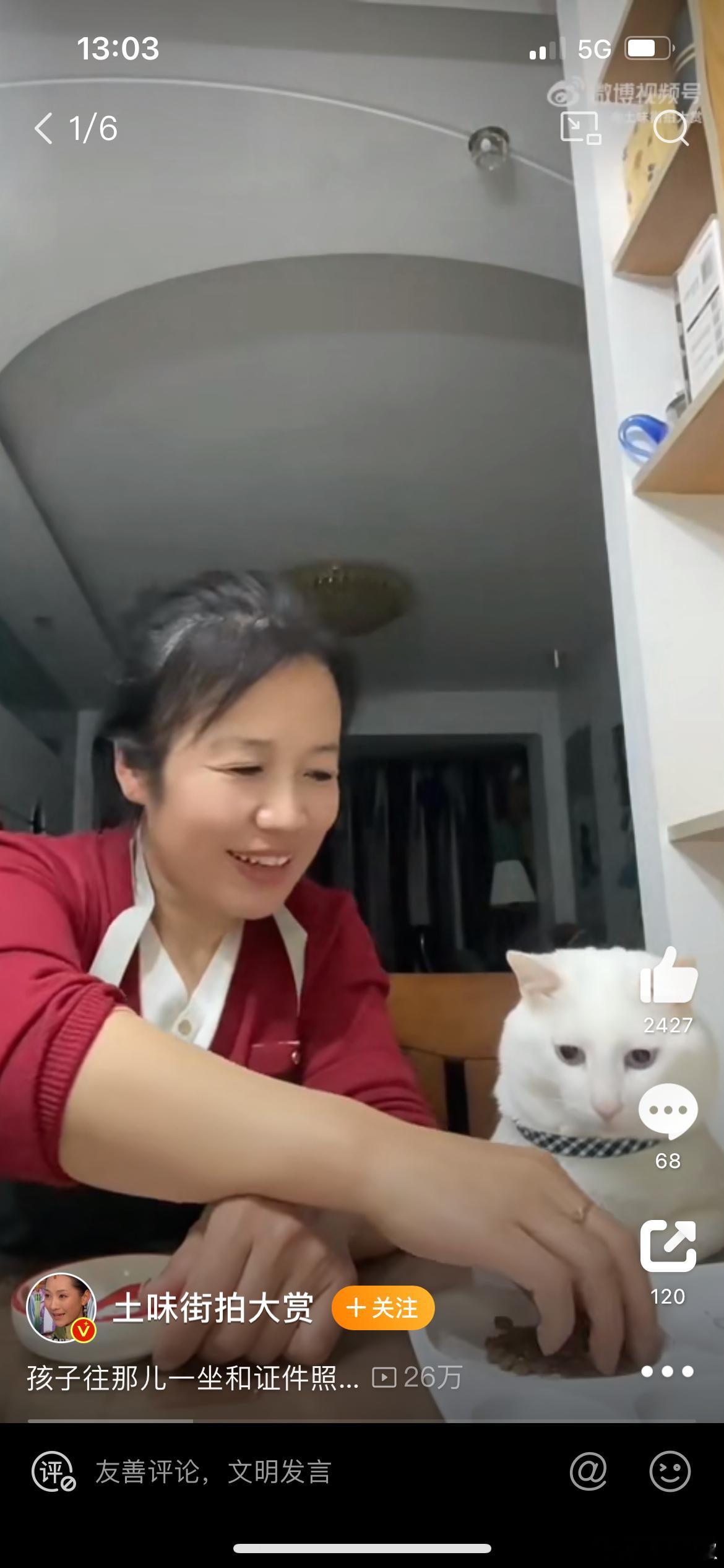 #孩子往那儿一坐和证件照似的#小猫子 皮下是新闻联播直播吗，哈哈哈哈哈，一丝不苟