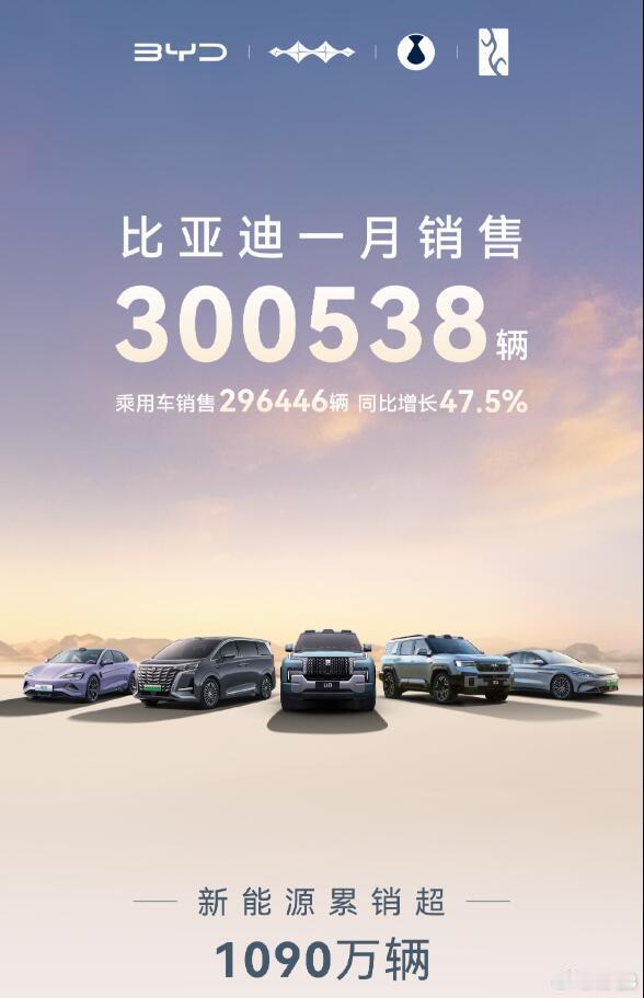 看一下比亚迪在一月份的市场表现：总销量300538辆，其中乘用车占296446辆