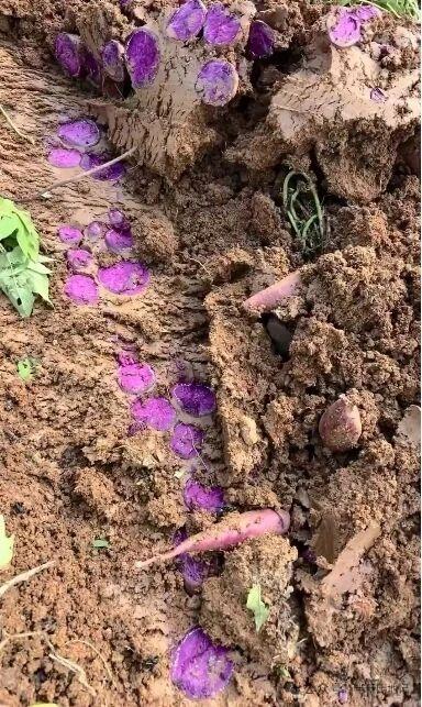 这个家还敢回吗[流泪][流泪][流泪][流泪]