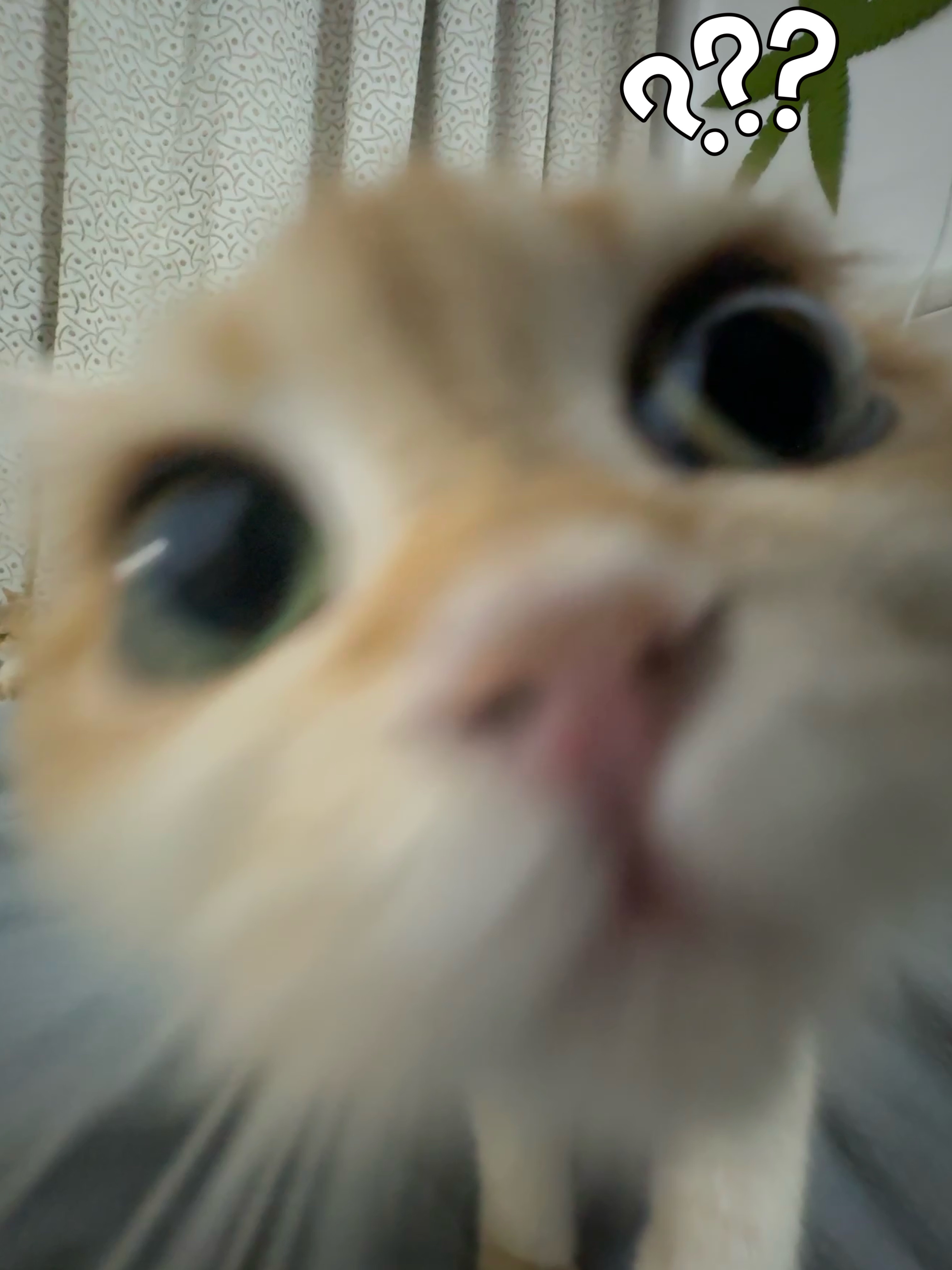 大学生表白被拒后怒砸食堂咖啡店谁家的巨婴跑出来了，这要是吵架分手的啥，不知道会被