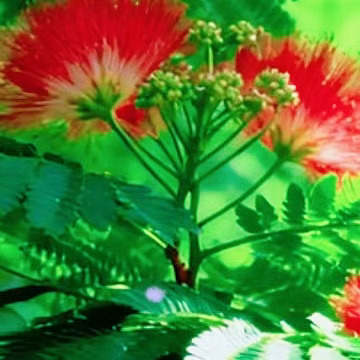 每日一善 💚 阳光信用 善行缘于善心，有着善的心灵，就如同一股清泉，永不枯竭，