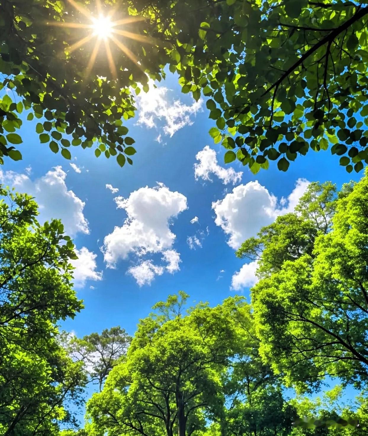 今天就是7月19号了，
奉劝大家一句，
从现在开始，每天出门前包里一定要
放一支