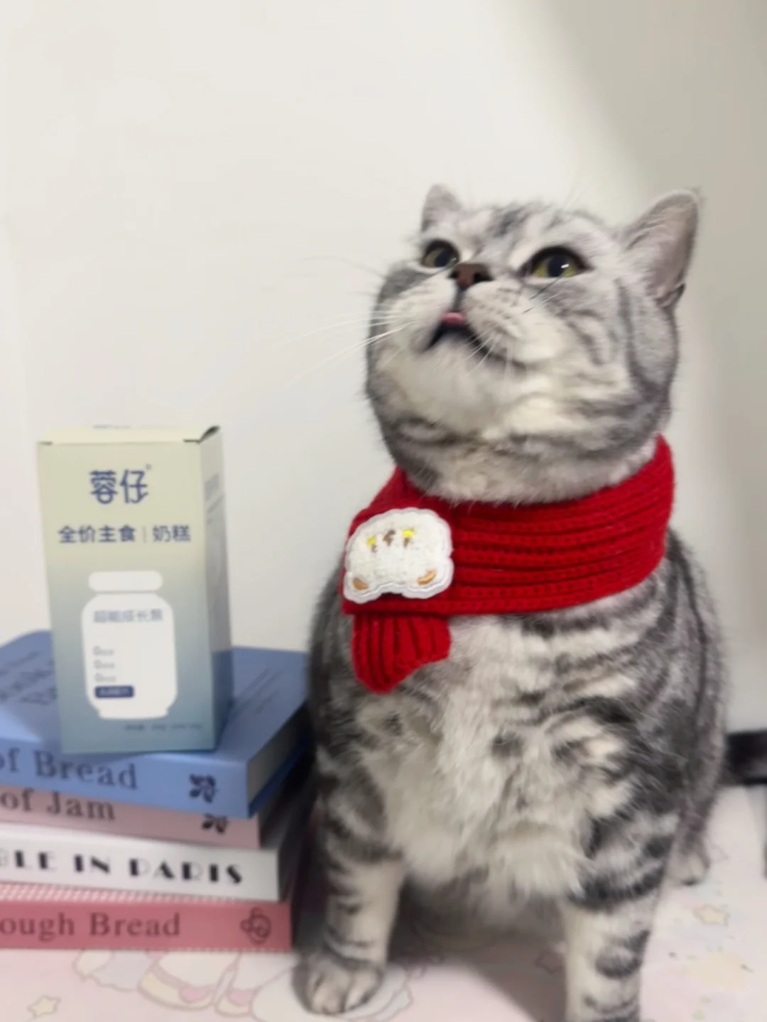 猫咪胃口不好就吃这个！