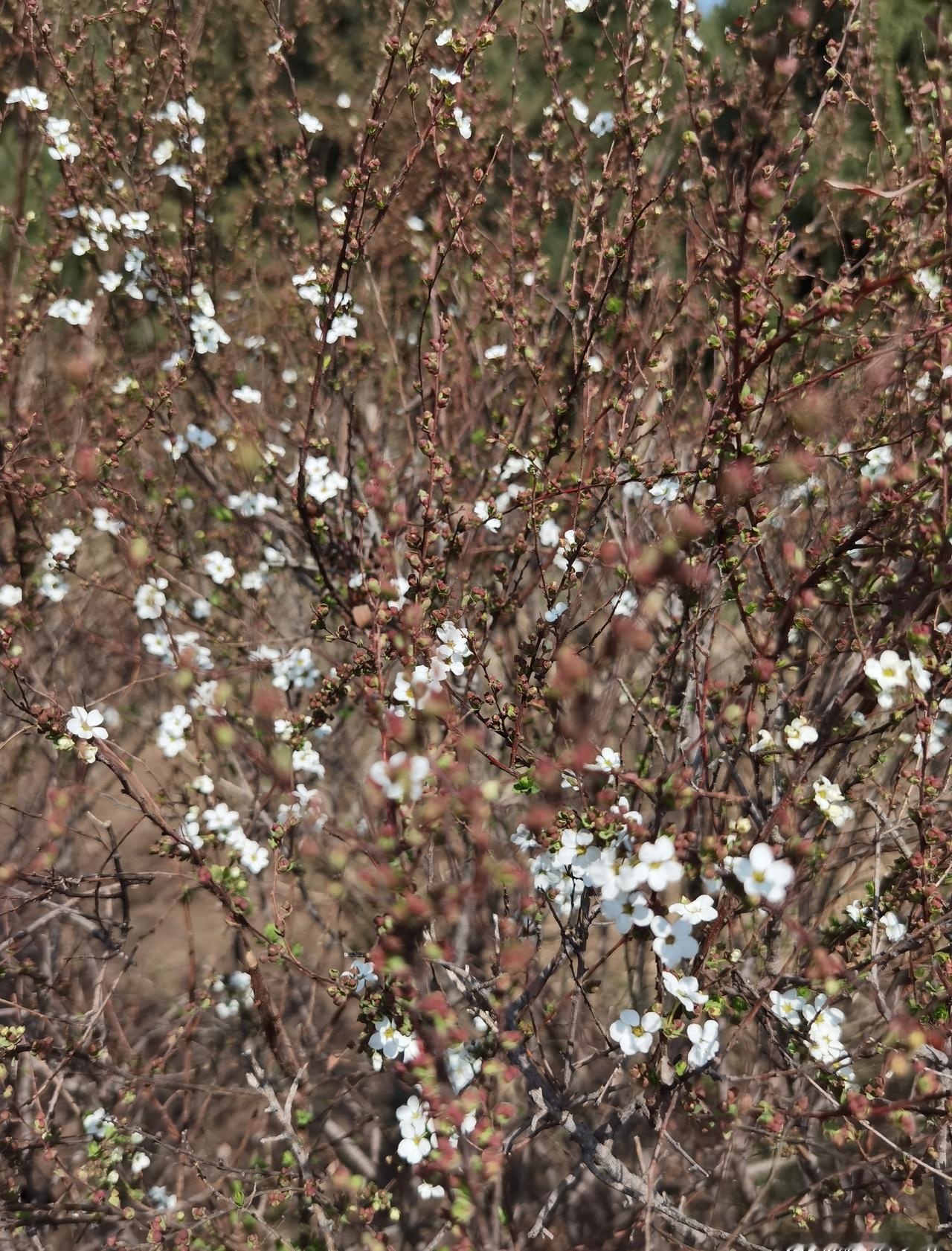 为勇于救人的小伙点赞！幸亏女司机被救出来了，如果再晚救一会，后果就不堪设想。虽然