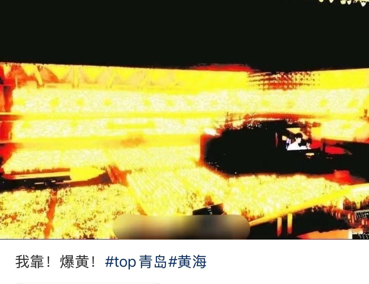 朴毛你们要的黄海是这样吗 