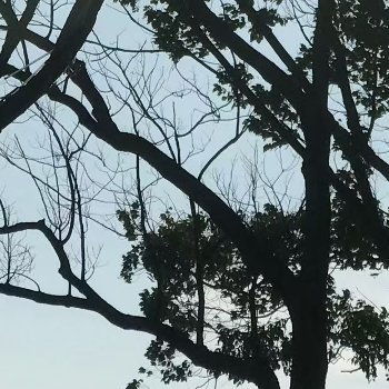 每日一善 阳光信用 学会从另一个角度看问题，改变自己的心态，成功不能一味的苛求条