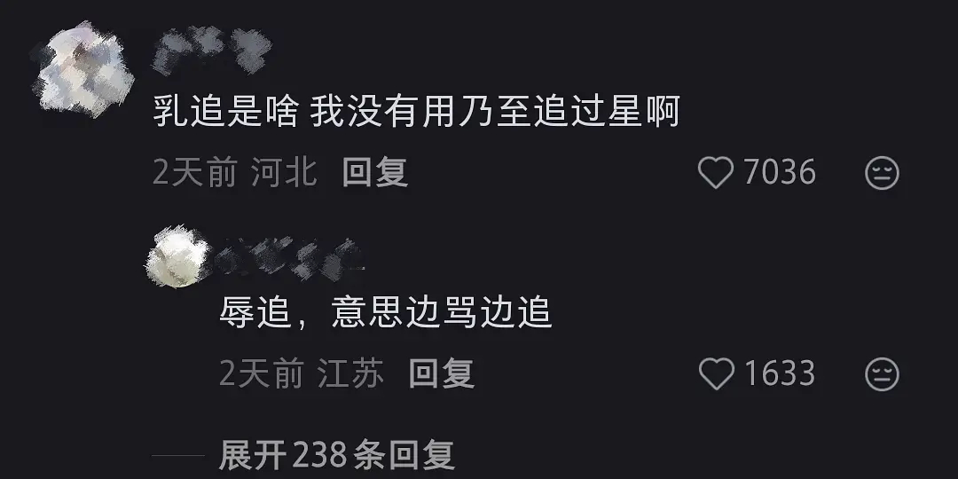 入追是啥一些乐子 