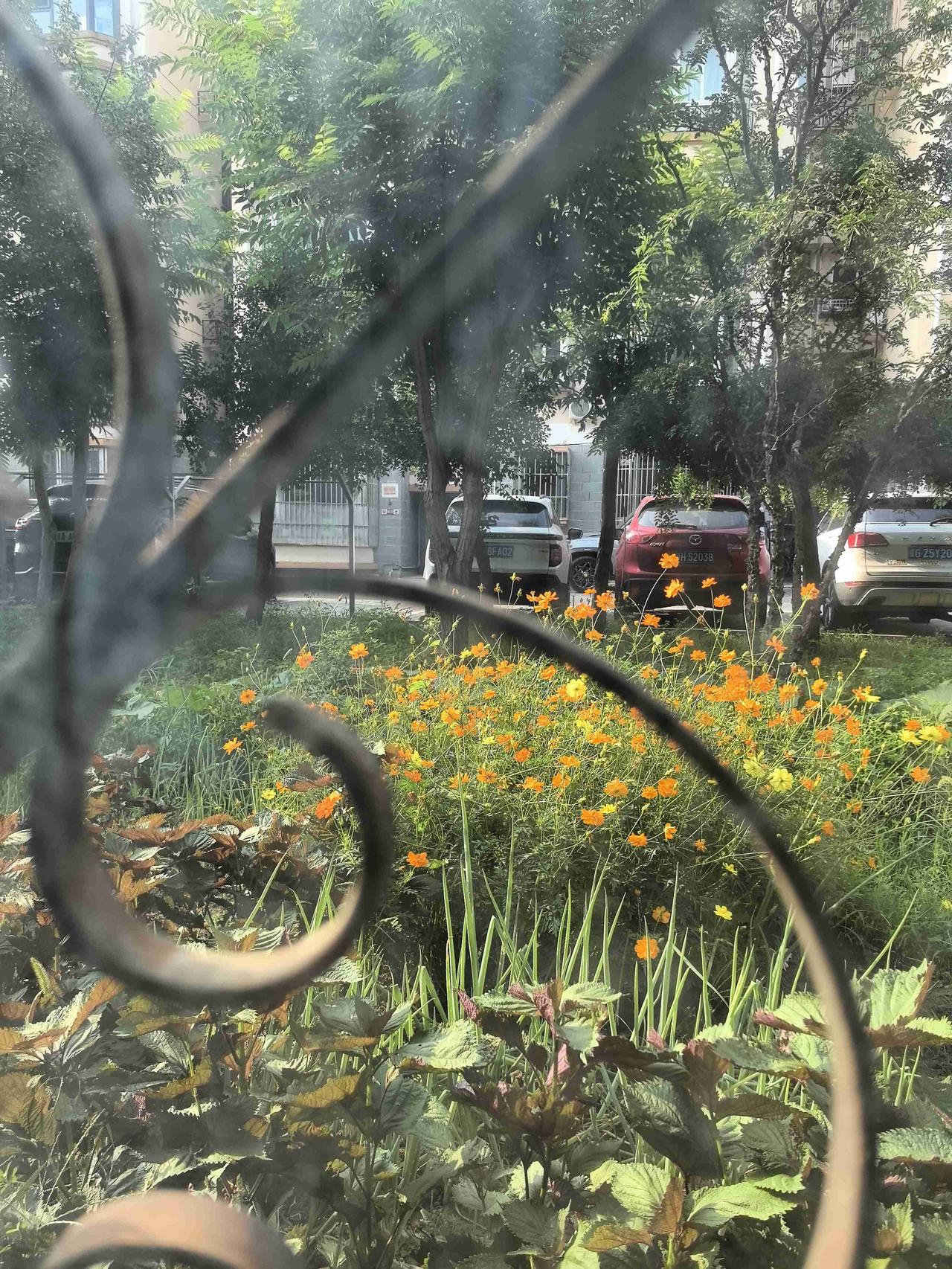 我的今日状态：😁轻松愉快
我这里的天气：☀️晴天