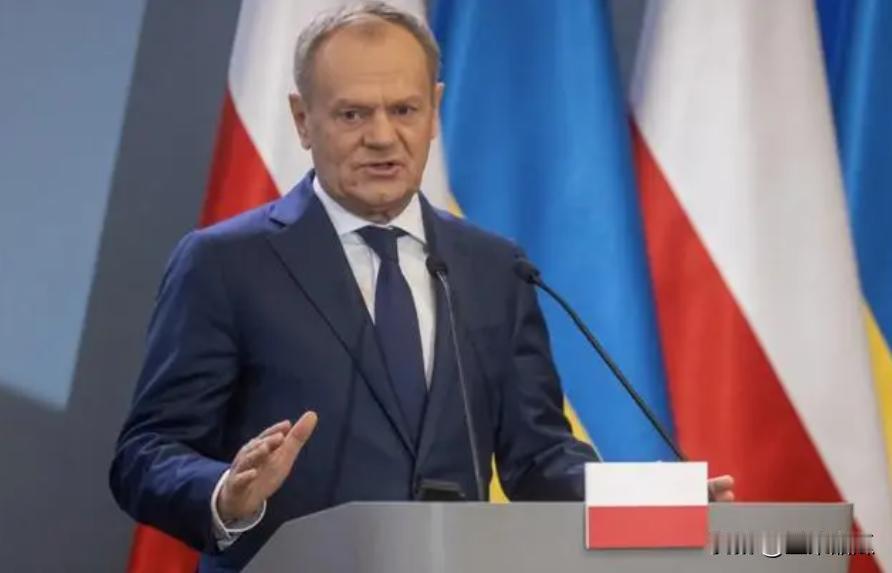 莫迪出访波兰，与波兰总理图斯克要帮助印度 ，觉得自己有军事装备现代化的知识，公司