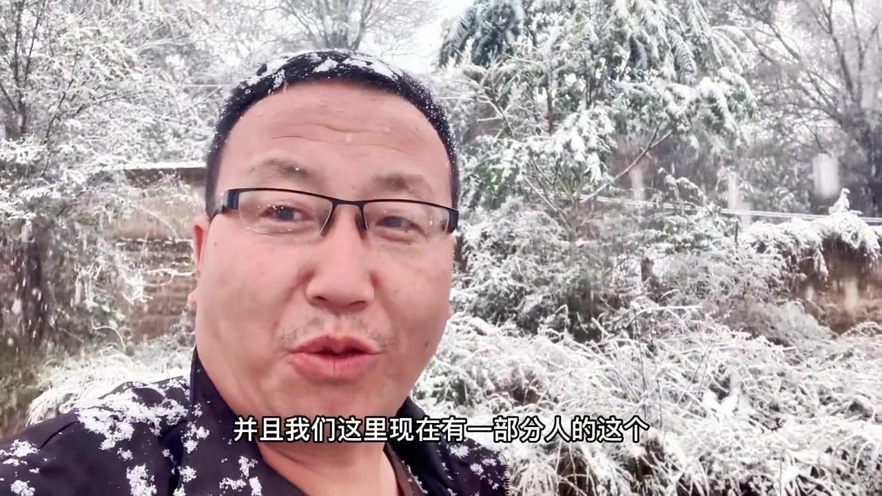 刚过寒露就迎飞雪，部分富士苹果还挂在枝头。第一场雪不算早，但果园已经被白雪覆盖，