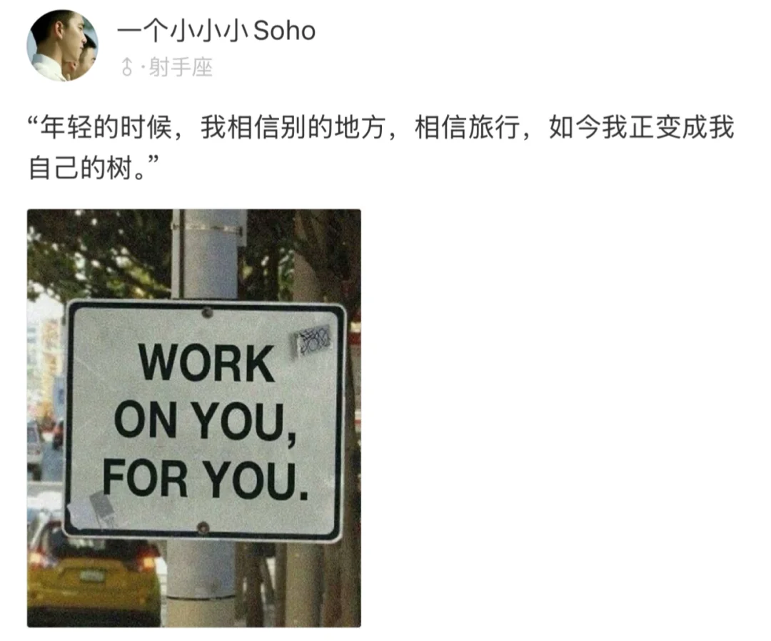 年轻时爱旅游，如今我变成自己的树