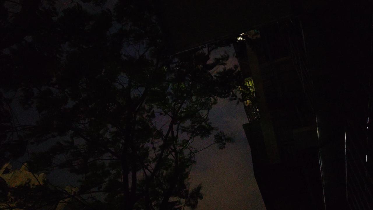 春日生活打卡季昨天晚上又是狂风大作的一晚！随手拍下的风景照