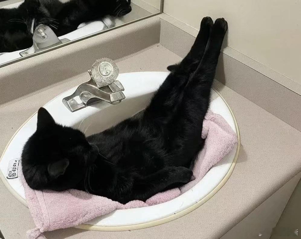 黑猫积累 