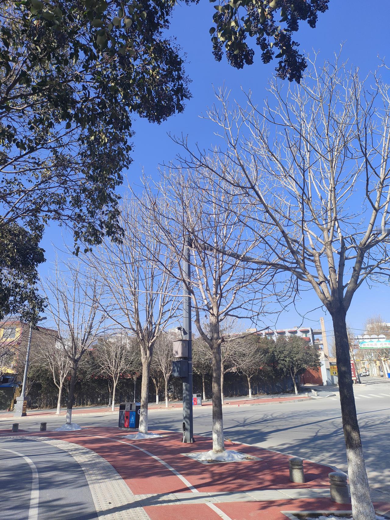 活到这岁数，算是把日子嚼出点味道了：人这一辈子，最靠谱的活法就三件事——不依赖别