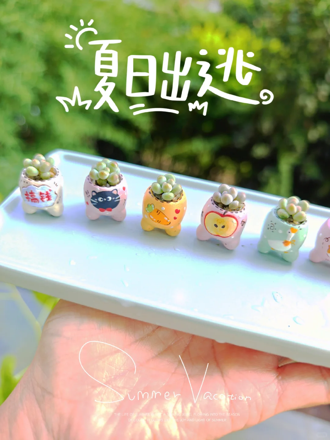 E姐多肉花盆｜发出来会不会被骂 哈哈哈