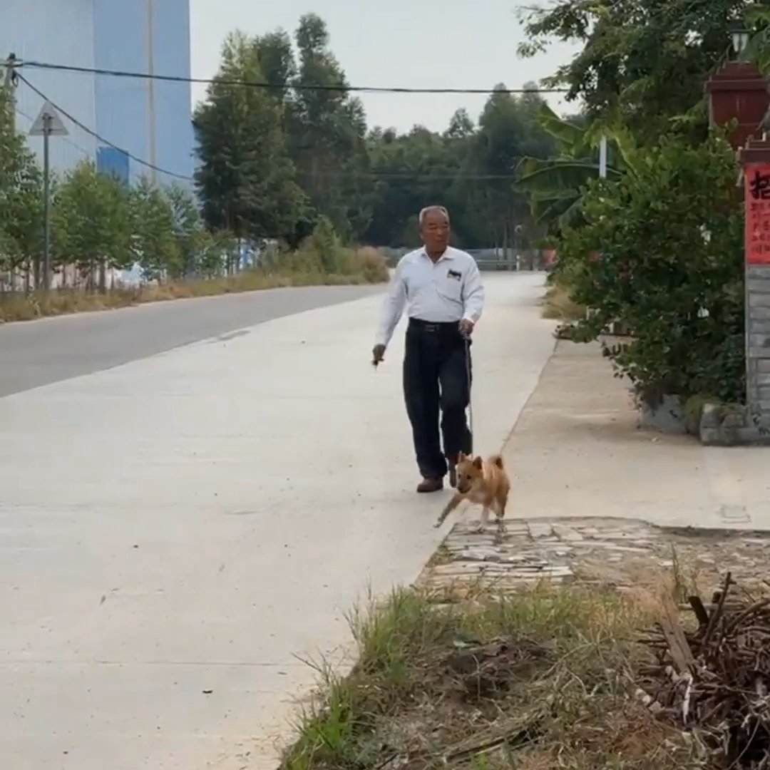 下班后我故意绕远路回家，在晚风里漫无目的地走了半小时，路边烤红薯的香气、遛狗大爷