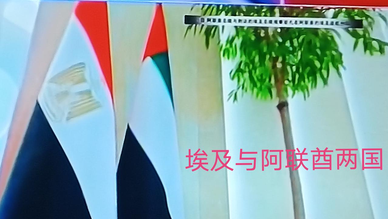 埃及交好于阿联酋，并以实际行动派出了一个“阵风”战斗机中队部署于阿联酋的军事基地