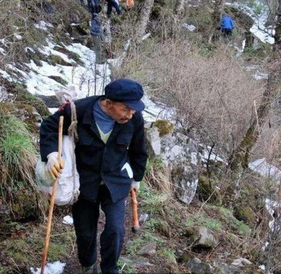 四十多年前，我在新疆天山脚下遇到个奇事儿。
那天大雪封山，我借住在牧民家，看见他