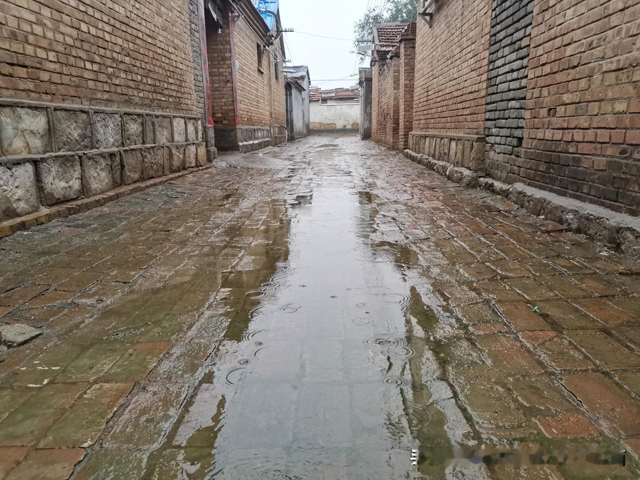 德州武城恩县洼六月霖霖雨不断，赶紧撤！撤！撤！
正是麦收进行时，该下雨的时候不下
