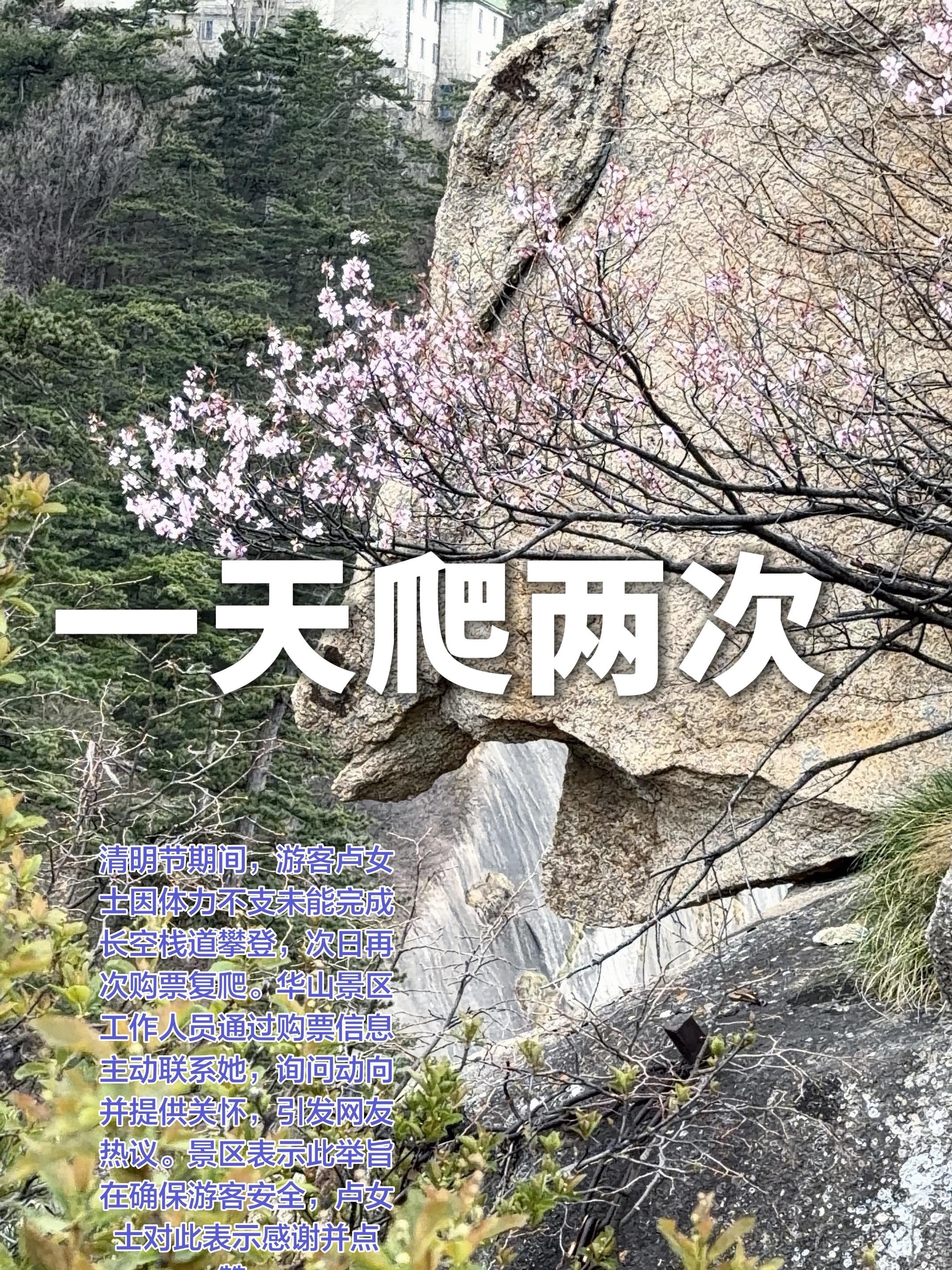 女子一天爬两次华山收到景区问候。清明节期间，游客卢女士因体力不支未能完...