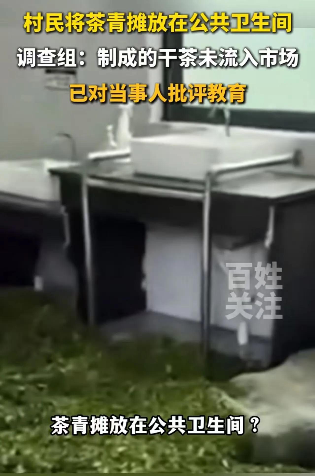 你喝的茶叶也许曾晾在厕所。
浙江省丽水市。
女子去松阳县旅游，去厕所方便，看到公