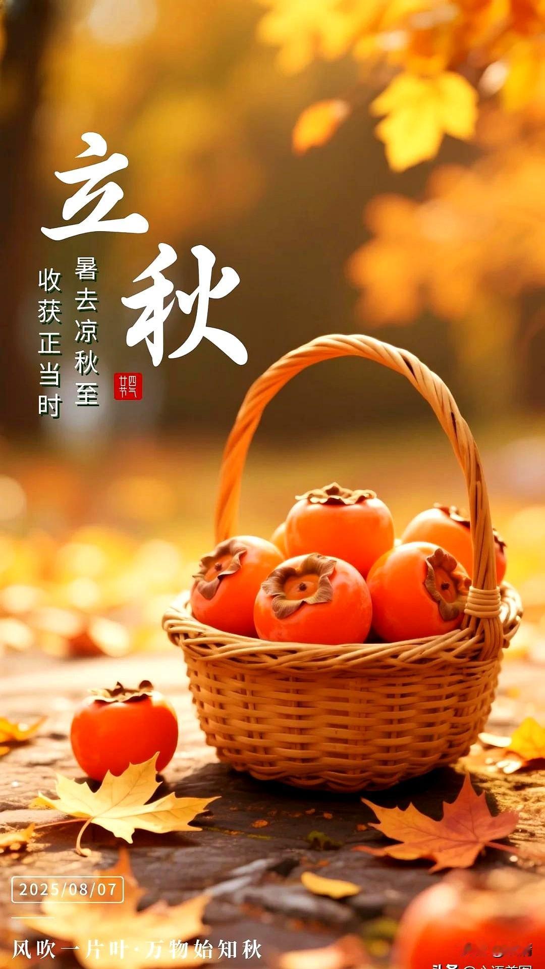 转眼明天就要迎来立秋，翻看着一张张立秋美图，心里不由得生出许多感慨。时光匆匆流逝