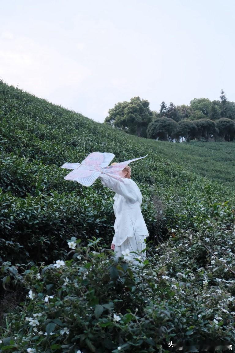 杨芸晴分享图片