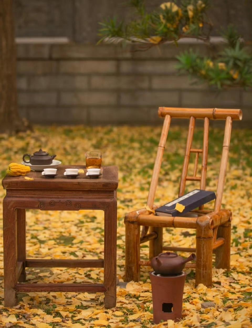人间忽晚，山河已秋🍂