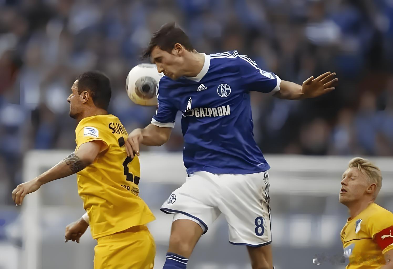 今日公开菜单足球预测           德乙：沙尔克 04 VS德累斯顿方向：