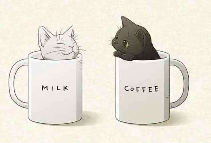 我的拿铁☕️🐱 