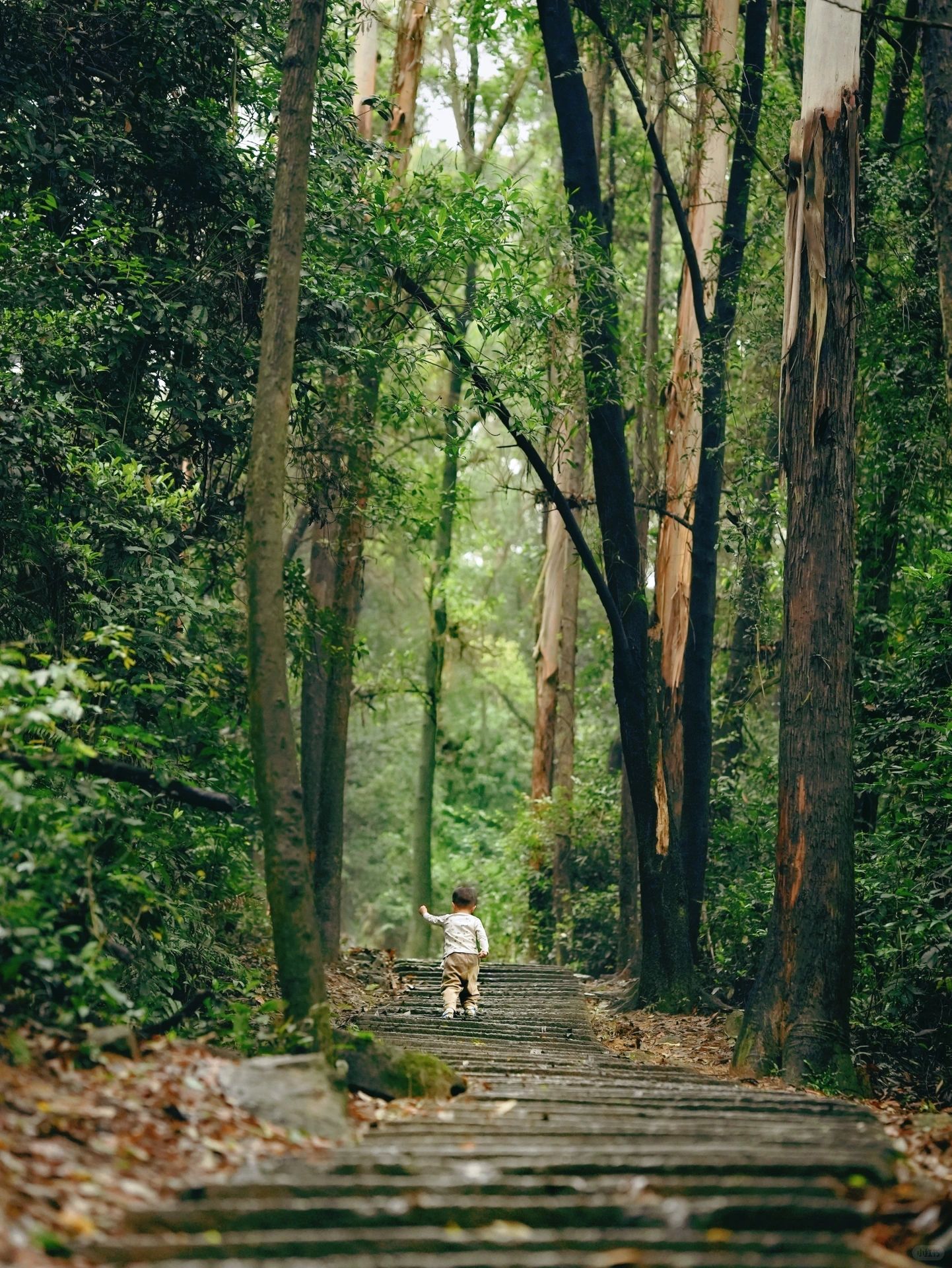 广州爬山👣盘点20个适合低幼亲子徒步路线