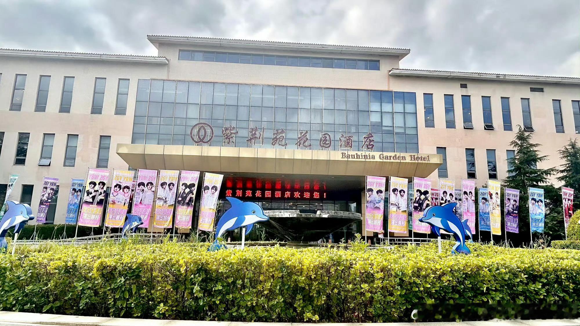 杨博文张桂源地广大屏黄粉的好漂亮呀，期待张桂源杨博文杨博文张桂源应援