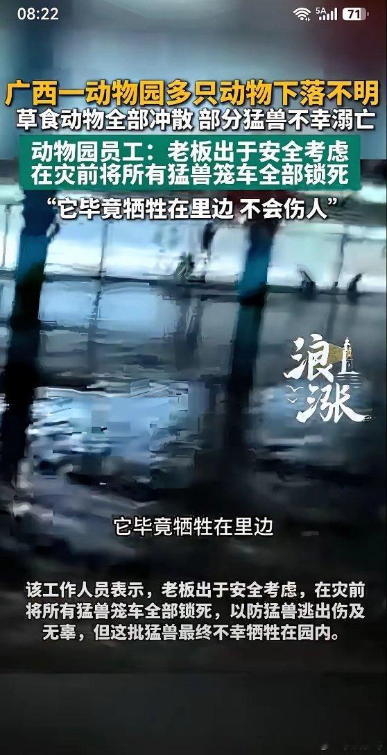 一边是900多条蛇跑出伤人，一边是动物园锁死猛兽笼为了保护人类，没有对比就没有伤