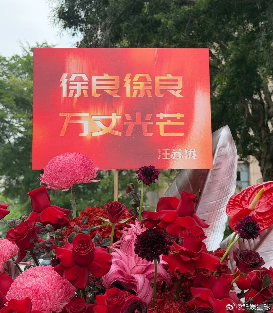 汪苏泷给徐良演唱会送花篮 汪苏泷给徐良演唱会送了20个红色应援花篮，10多年的友