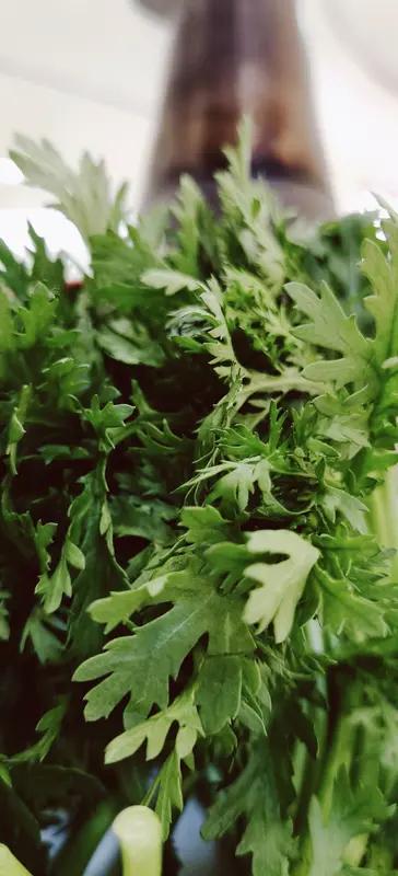 芹菜叶子当然能吃，而且营养比茎还高呢！它富含维生素A、C、K，还有钙、铁、钾等矿