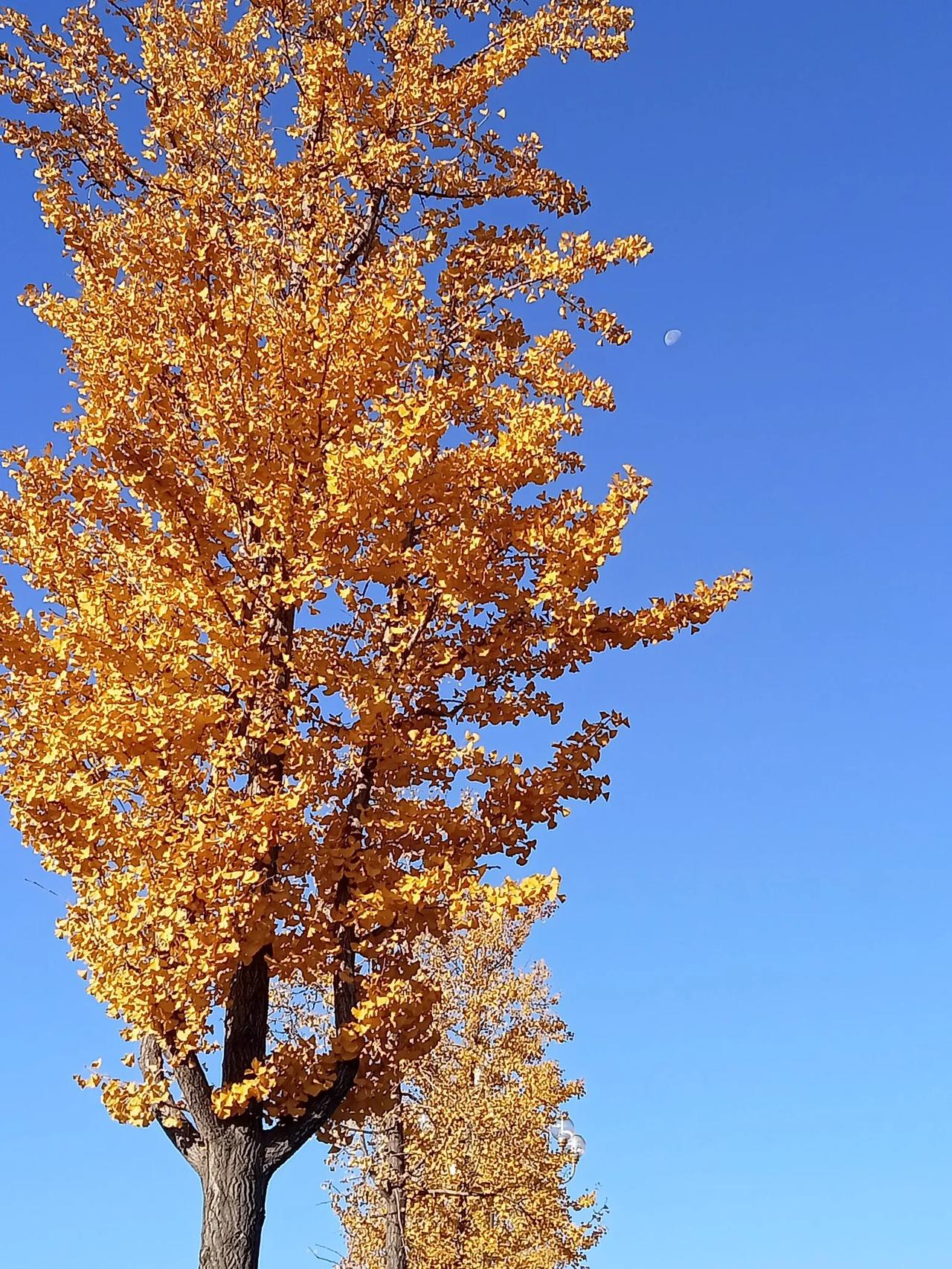 为什么现在的领导越来越不好干这个话题并不准确，实际上现在当领导最为轻松。既没有考
