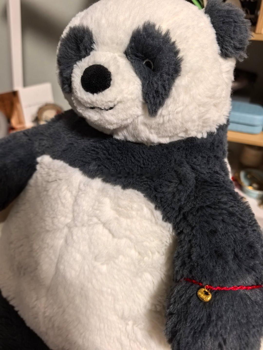 托利亚很不高兴，让我上来问问谁家小熊猫戴这么小的金锁头！ 