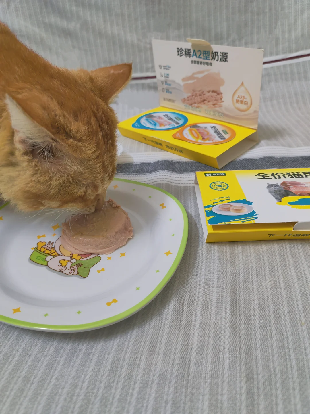 😿春天不爱吃饭？多半是没遇到它