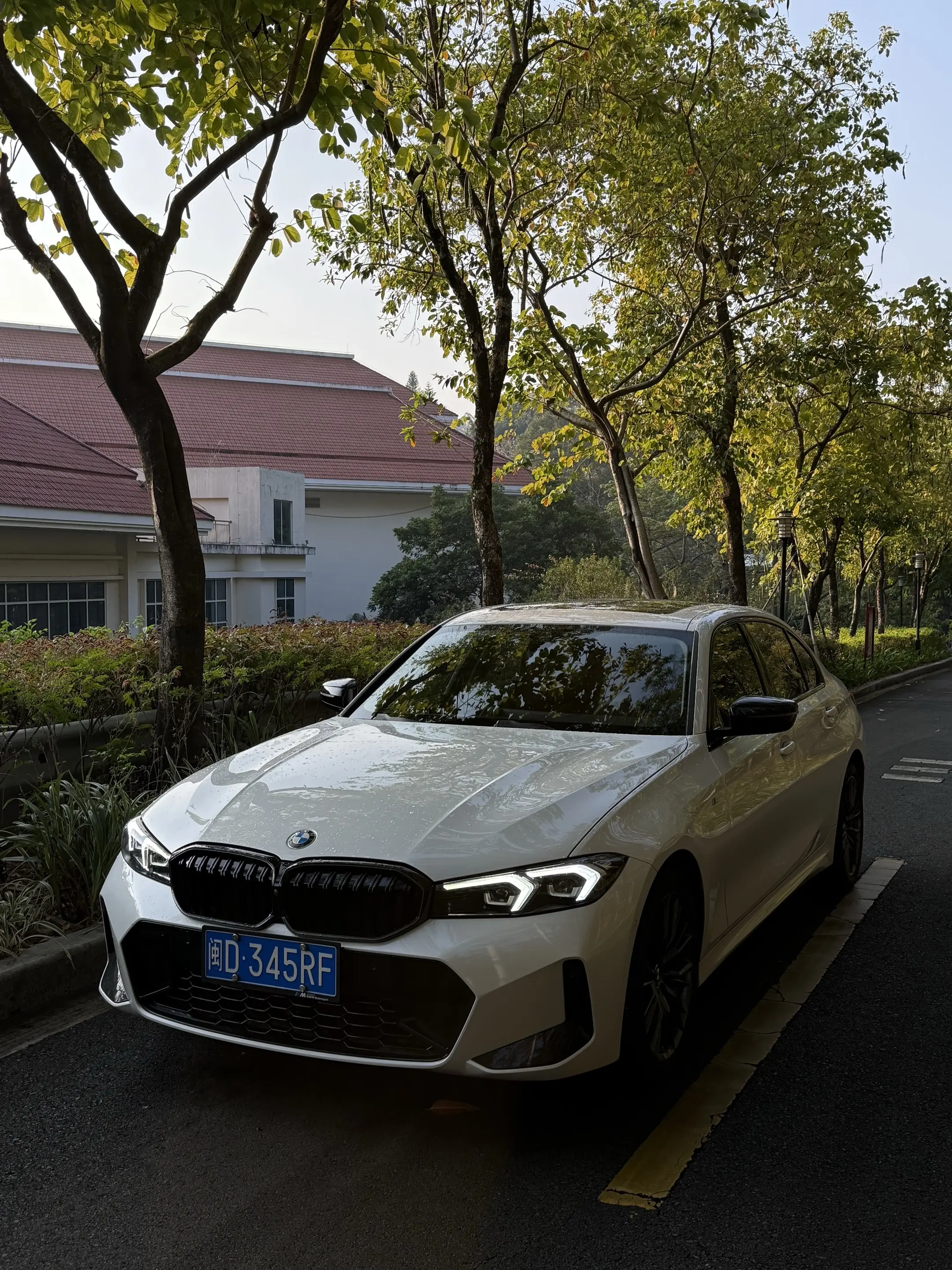 第一眼就喜欢的东西 真的很难忘记