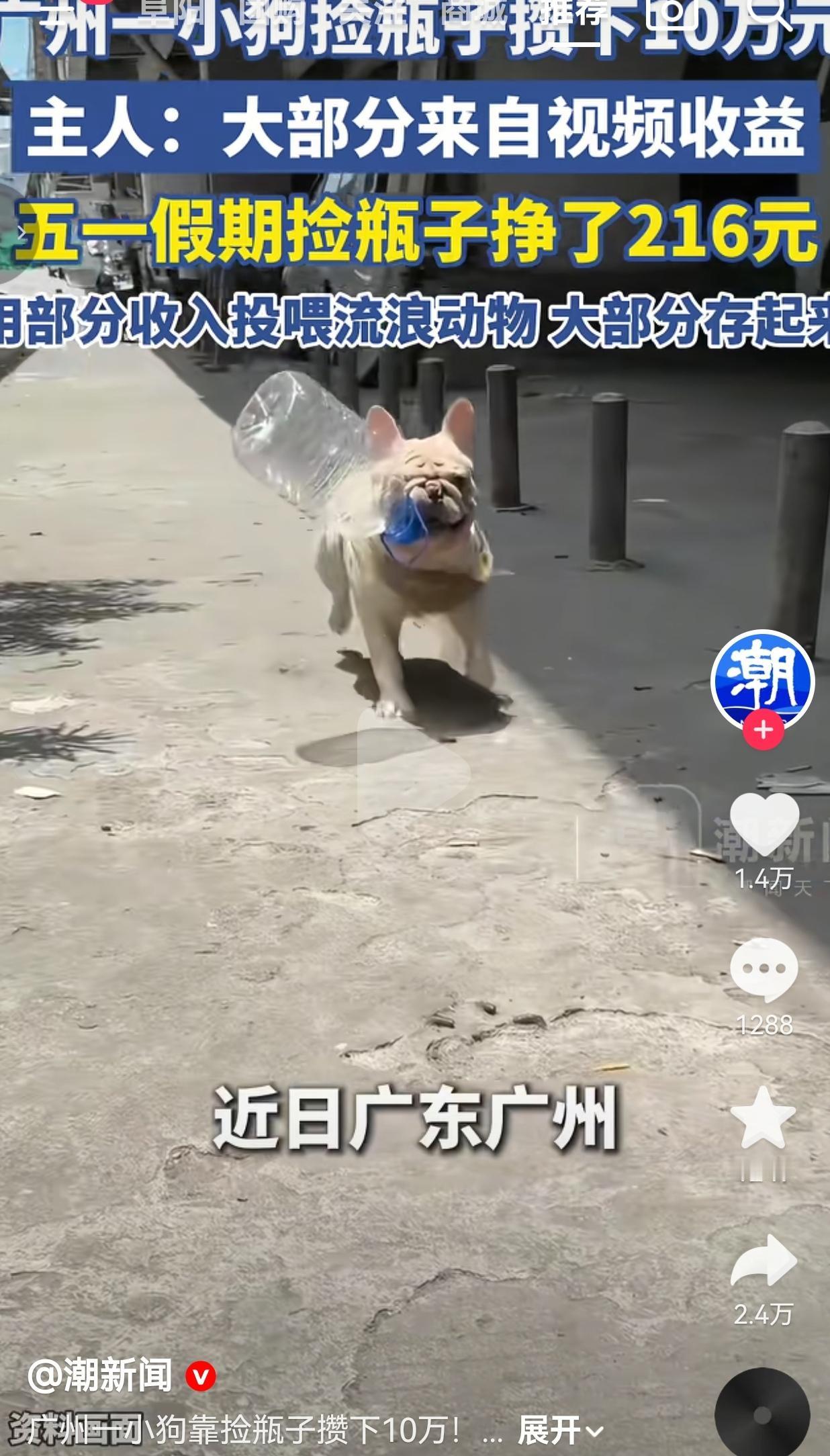 广州这只捡瓶子的法斗，凭啥攒下10万？看完我真的破防了！
 
活了这么多年，居然