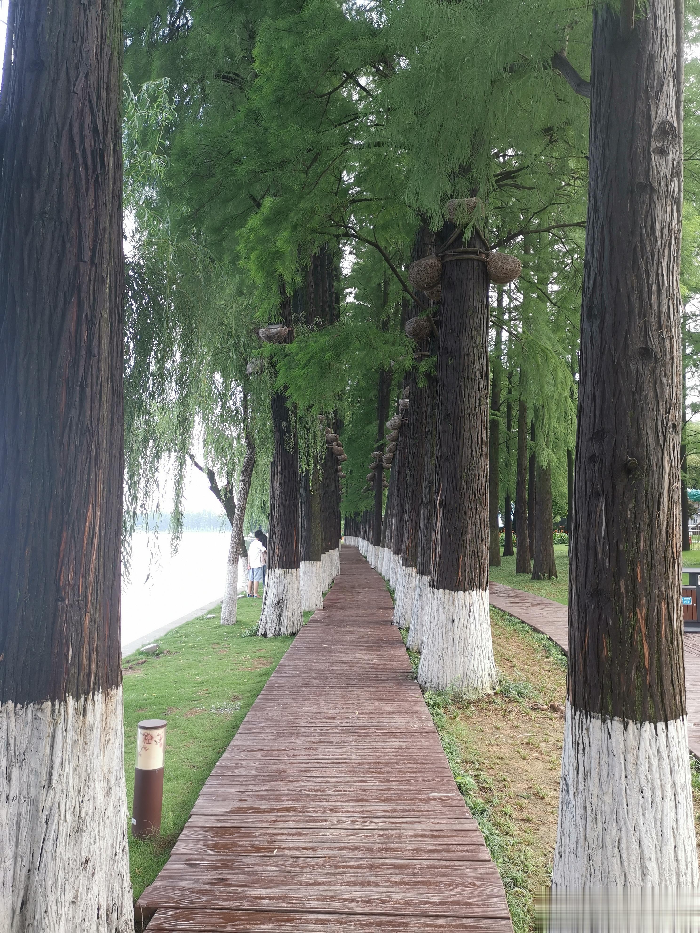 引起脂肪肝的5个元凶，你中了几个？1.肥胖：过多的营养物质转化为脂肪后会储存在体