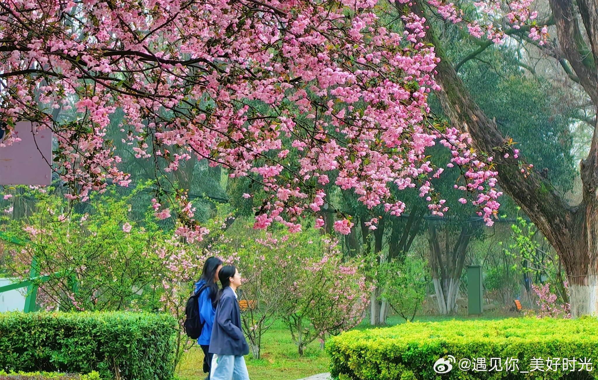 大学生喜爱内容共创计划高考加油再坚持一下，大学生活真的很美好。想象一下，你可以自