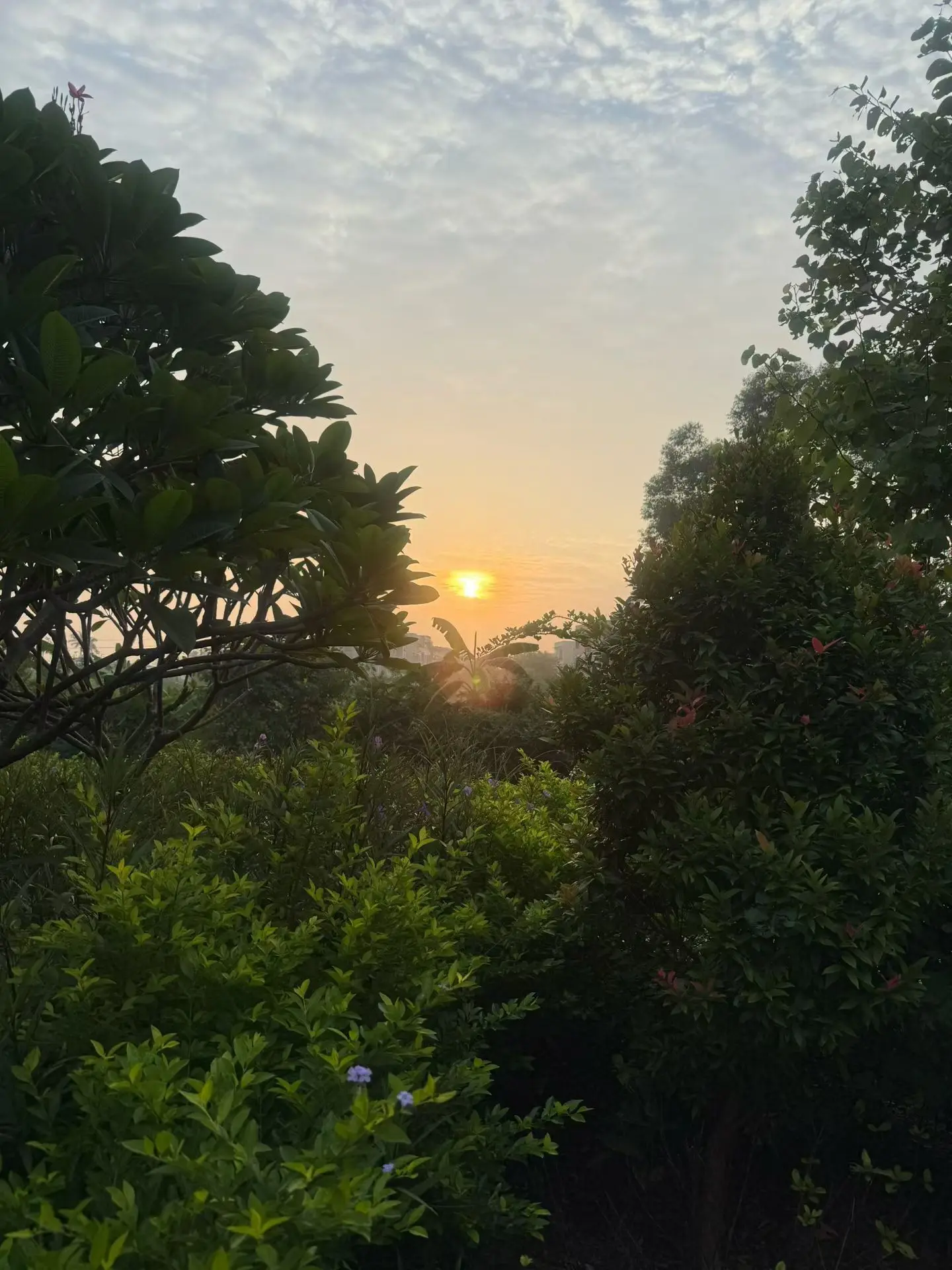感受自然的美好与宁静