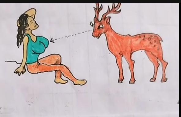 〔看图猜成语〕
图中画面真有趣；
小鹿专瞅美少女；
瞅着瞄准一条线；
恰当成语是