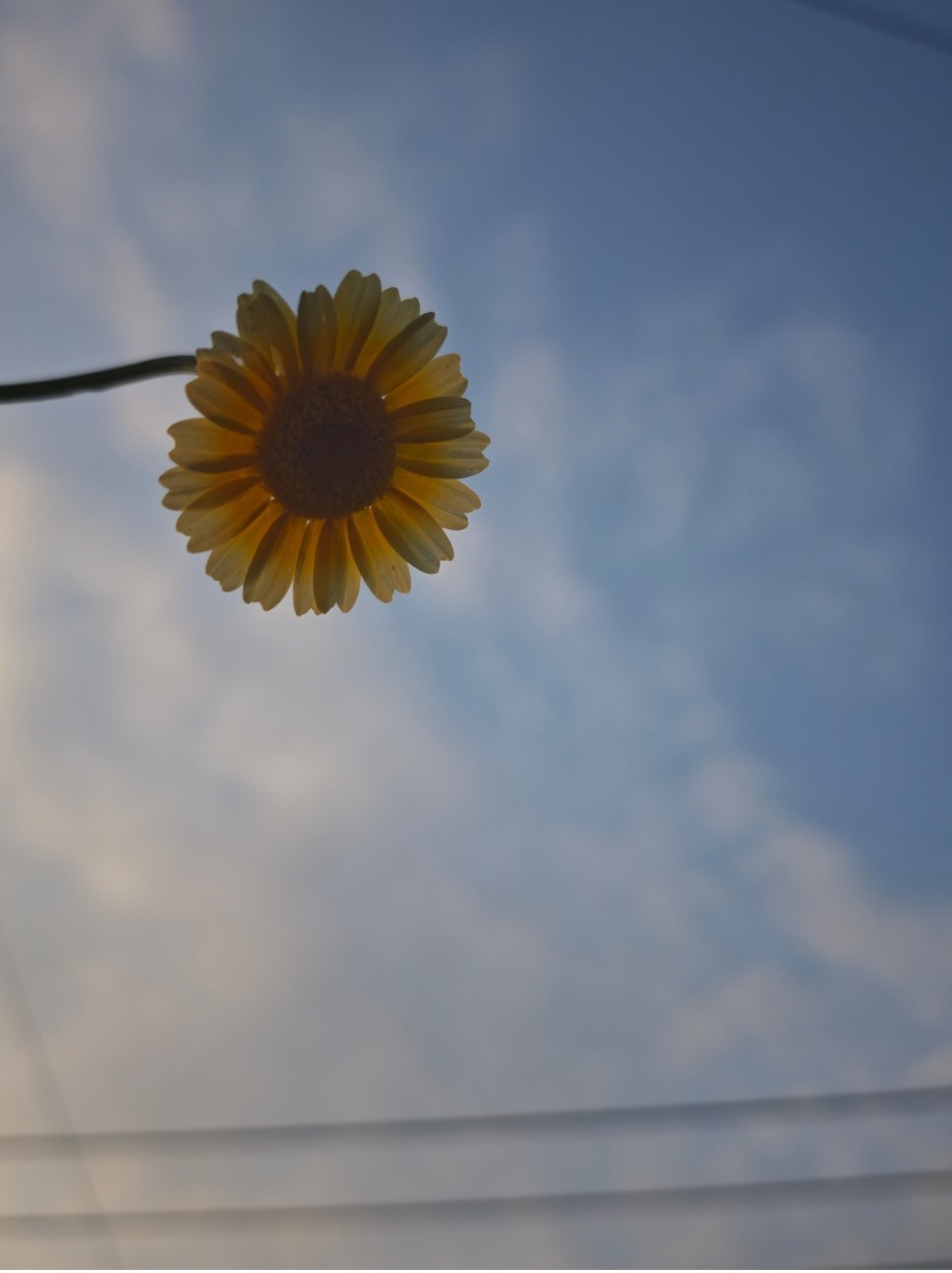 两百块钱学的摄影，来参加摄影大赛了，暂不接稿