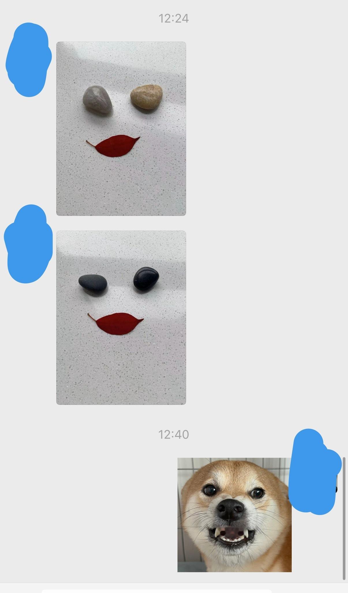 我妈给我展示新艺术作品 