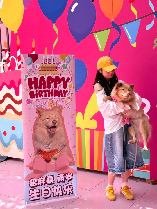 成都果然是大城市......全成都最幸福小狗🐶