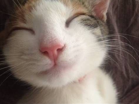 ：） ​​​