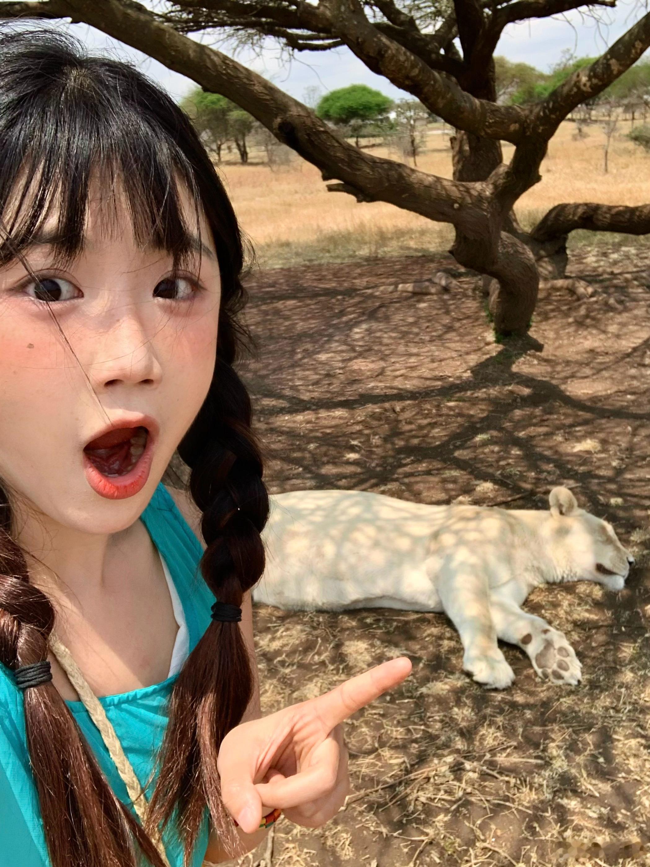 带着体温的青草味🌿🐆🦓🦒🦏🦌 非洲[超话]  ​​​